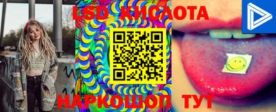 индика Лесосибирск