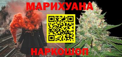 индика Лесосибирск