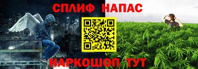 индика Лесосибирск